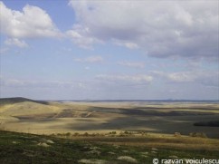 Vinuri cu indicatie geografica Colinele Dobrogei