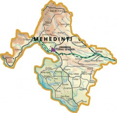 Vin DOC de Mehedinti