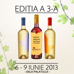 VINTEST Bucuresti 2013 (6-9 iunie) Bucuresti